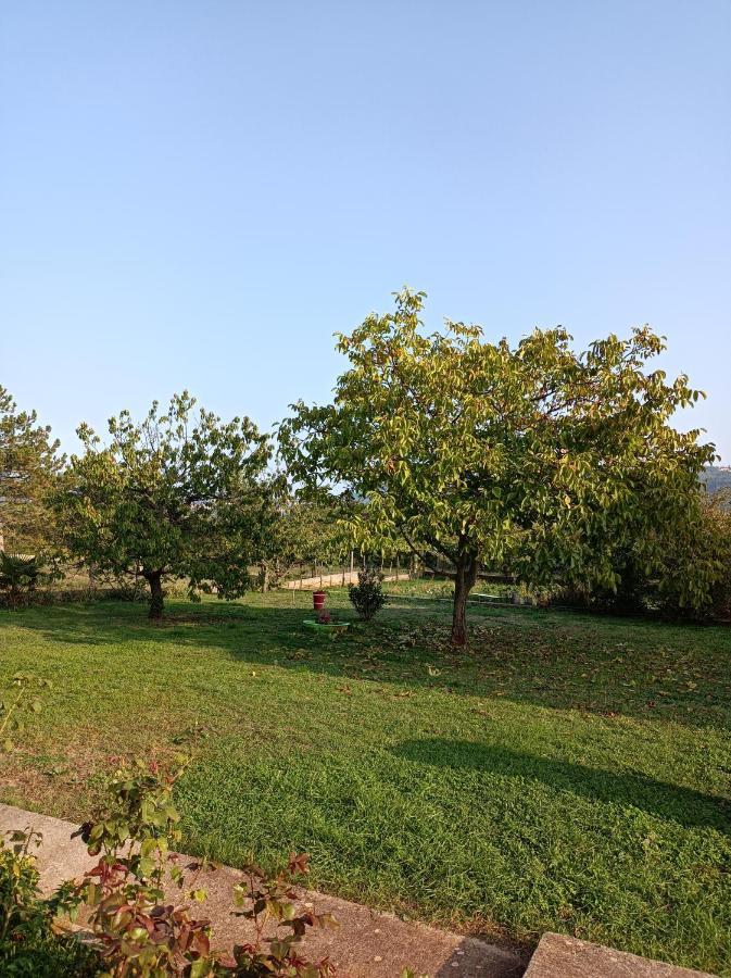 Apartman Biba Labin  Dış mekan fotoğraf